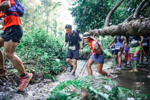 BIB: 
                            <button type="button" onclick="openModal(25449877)" class="btn btn-primary btn-sm float-right btn-popup" data-toggle="modal" data-target=".modal-high-quality">
                        <i class="fas fa-shopping-cart"></i> Add to Cart
                    </button>
                                            <button type="button" onclick="isThisMe(25449877, true)" class="btn btn-success btn-sm float-right btn-popup btn-isme hidden" data-toggle="tooltip" data-placement="bottom" title="นี่คือรูปของคุณใช่ไหม คลิกที่นี่เพื่อเอาเข้าอัลบั้ม">
                        <i class="fas fa-plus"></i> Add to album
                    </button>
                    <button type="button" onclick="isThisMe(25449877, false)" class="btn btn-warning btn-sm float-right btn-popup btn-isnotme hidden">
                        <i class="fas fa-ban"></i> Remove from album
                    </button>